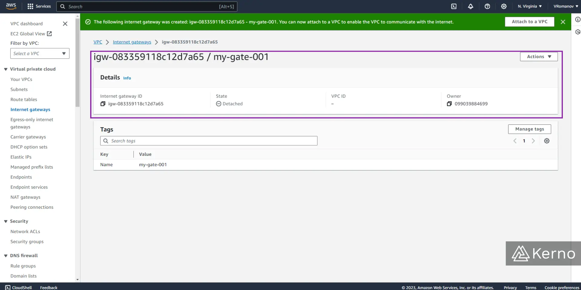 Figure 4.4 - VPC - Virtual Private Cloud | New Internet Gateways on AWS